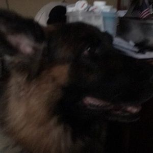 Meet your Posher, Anita